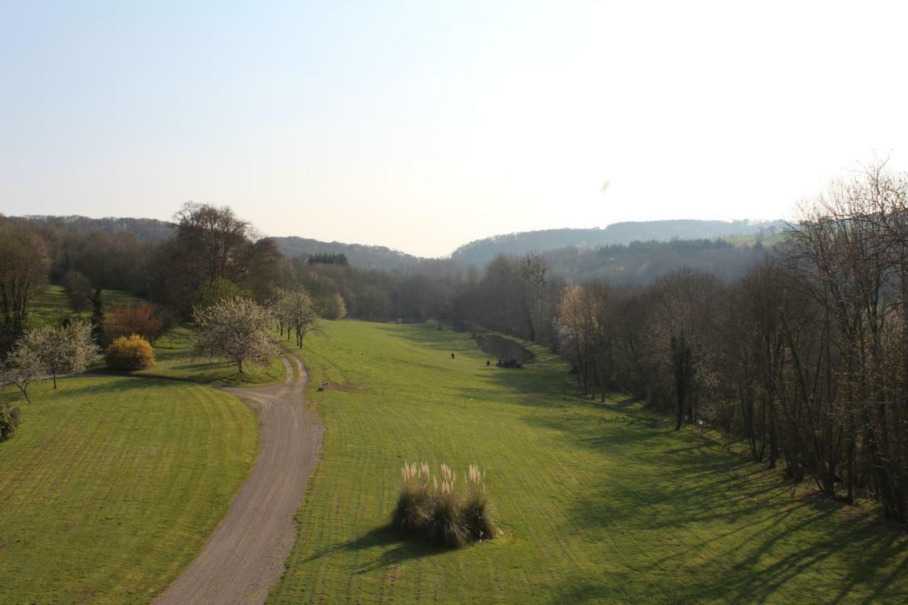 Chateau De La Lucaziere Mont-Saint-Jean  Exteriér fotografie